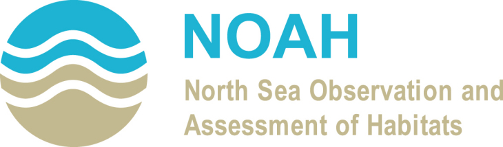 NOAH 